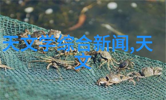 陶瓷波纹填料 标准我来告诉你陶瓷波纹填料的标准操作流程你必须知道
