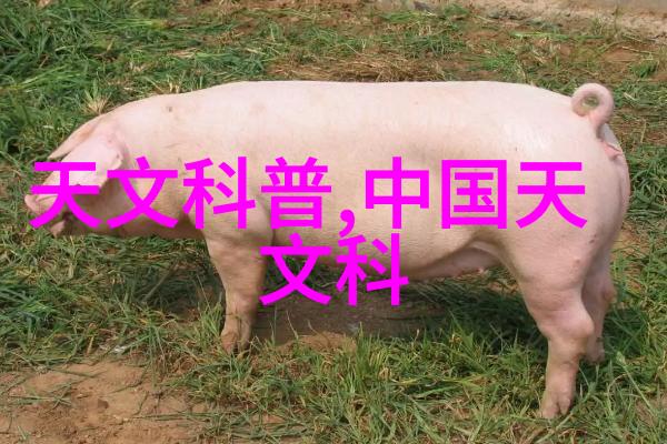 穿越之替身王妃她是我的影子他是她的梦中情人