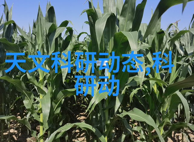 卫生级隔膜泵静谧的守护者与工业界的不懈追求