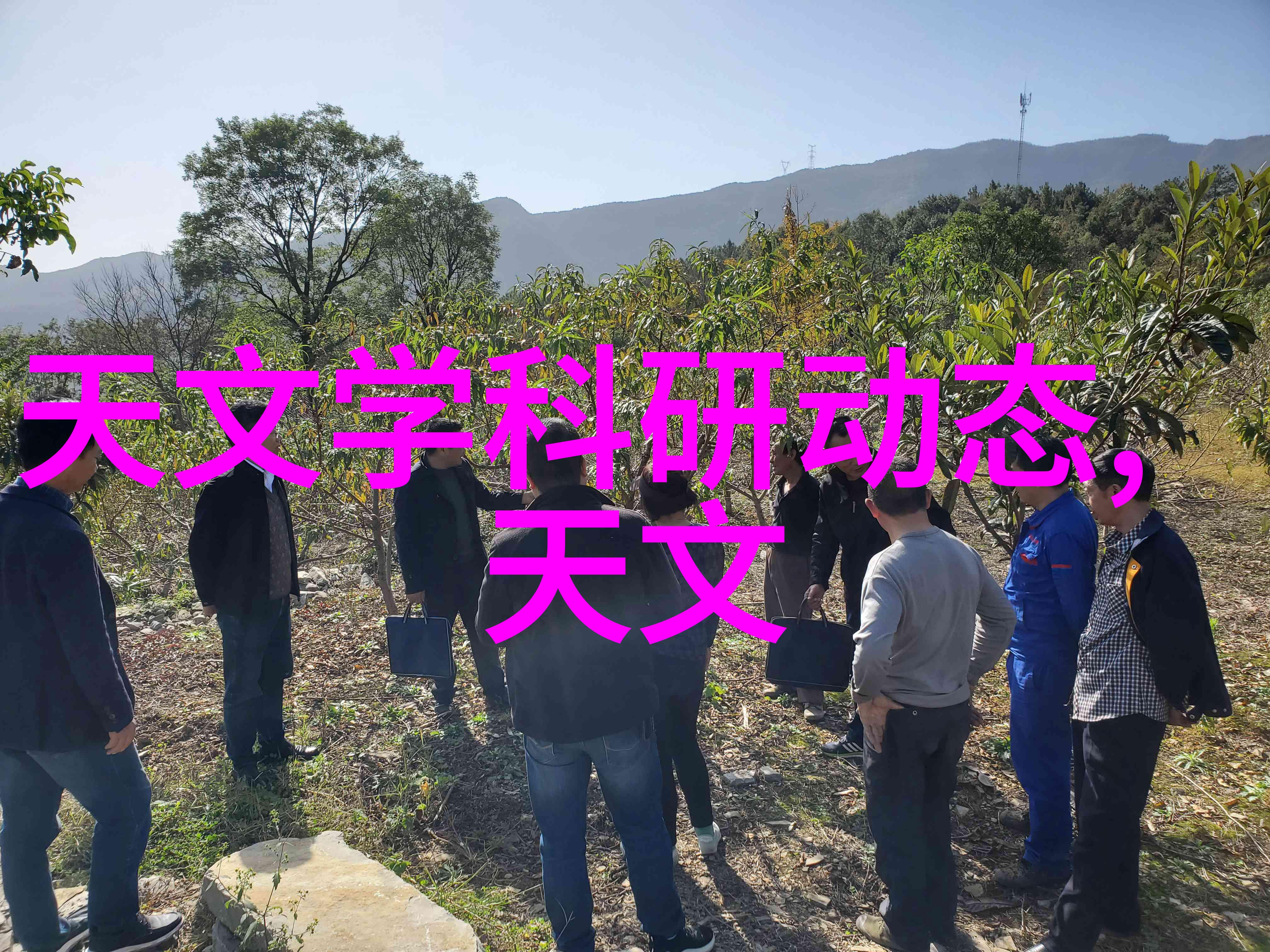 清穿之炮灰女配我是她