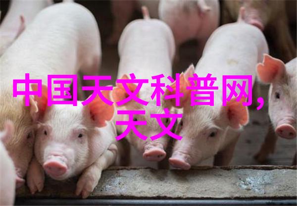 机缘再生失落的二手机械之谜