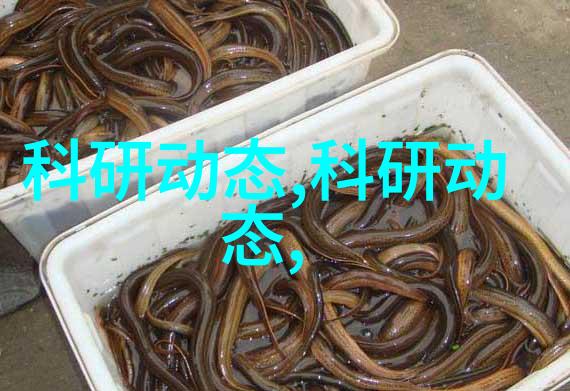 不锈钢拌料桶高品质厨房用餐具