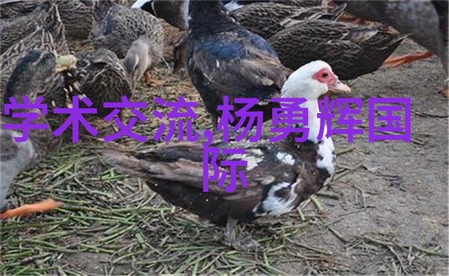 合影背后的故事揭秘那些永恒的瞬间