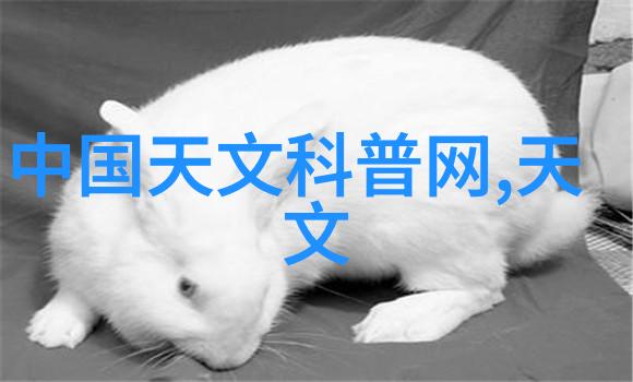 不锈钢斜管填料供应商高品质不锈钢斜管填料的专业生产商