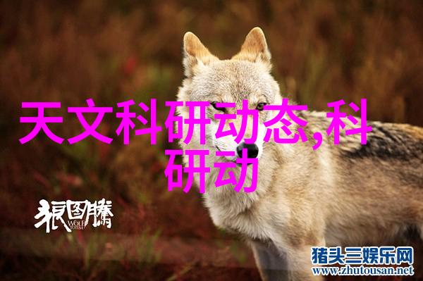 电动搅拌器家用小巧的两相魔力