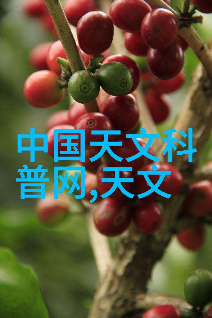 螺旋式输送机哇这玩意儿是怎么工作的
