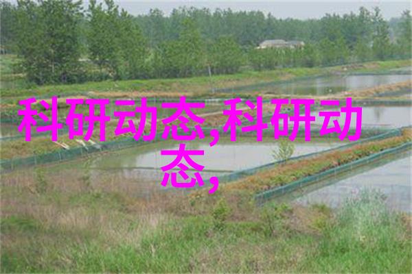 家庭用水管尺寸选择指南