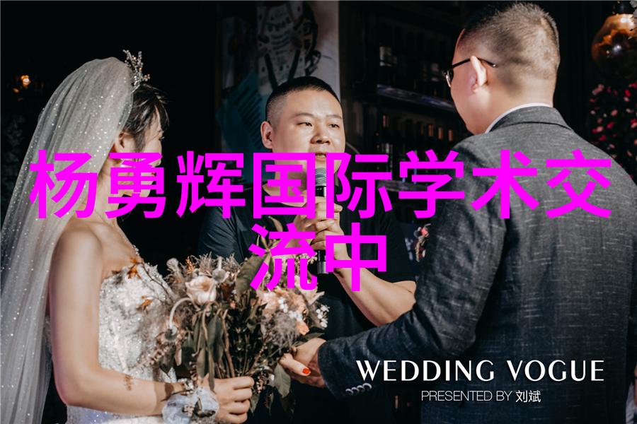 现代居住空间的优化基于用户需求与节能技术的房子装修案例分析