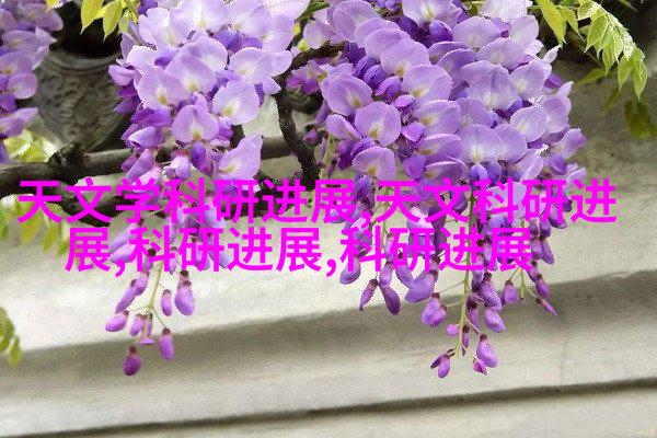 弯曲段