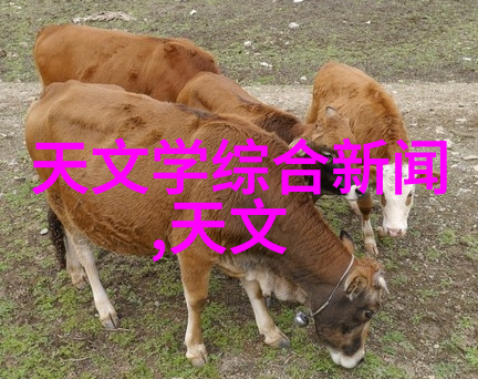 全球经济复苏背景下23年第二季度中美洲地区SS无缝管及圆管生产成本结构调整