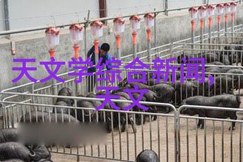 乡村风情绽放农村房大厅装修效果图大全集