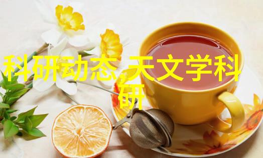 公司招聘测评题库精准匹配未来星辰的智慧宝库