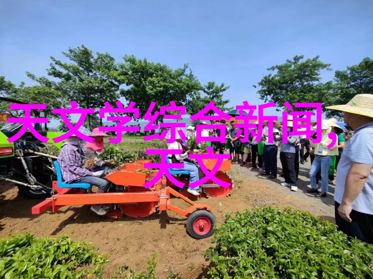 厨房装修-精致空间探索厨房装修效果图大全的艺术