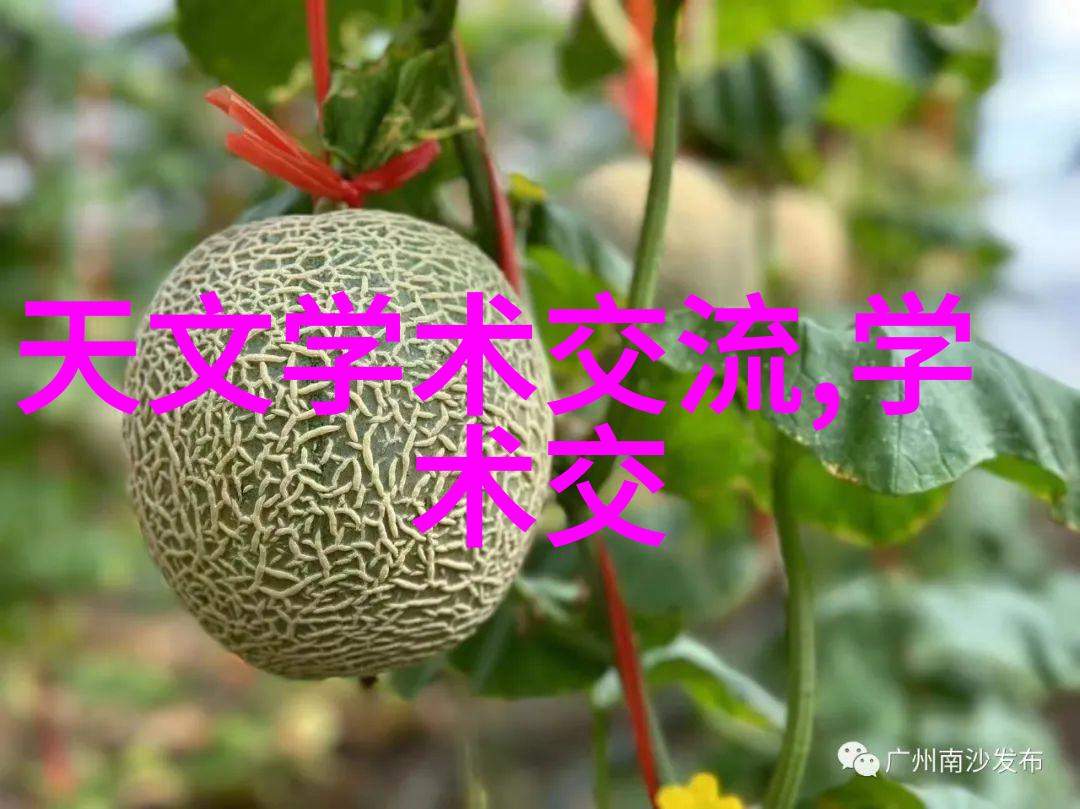 高效物流管理中关键是技术还是设备