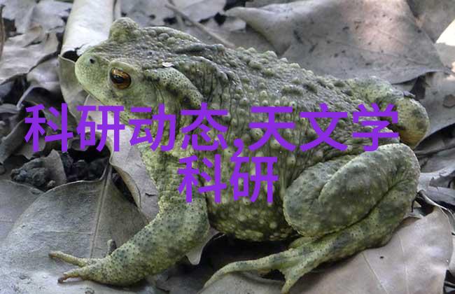 如何选择合适的螺旋分离器以满足特定物料处理需求