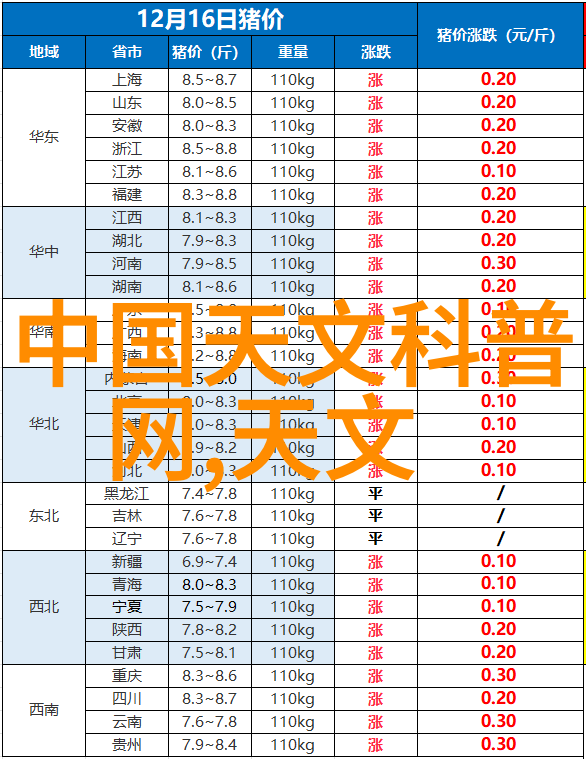 蜜桃甜香与麻豆辛辣的WWW久久爱情