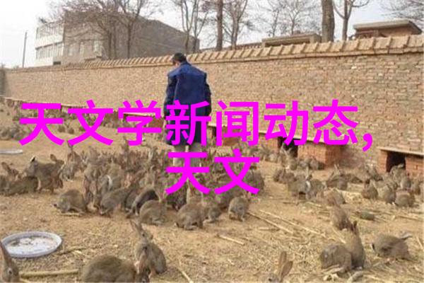 室内装修设计软件选择哪款最适合您的需求