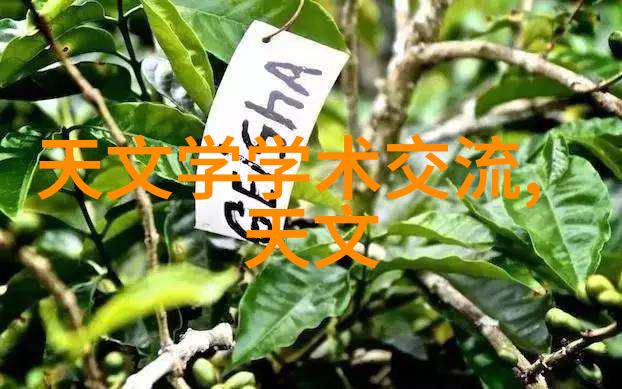 工业纯水之旅清澈源泉的守护者