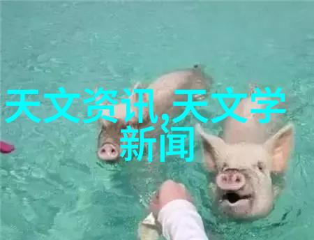 油水分离过滤器清晰界限下的液体净化技术
