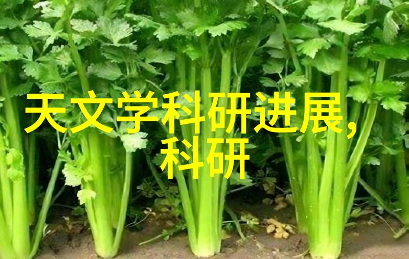 海王祭txt下载海王祭的奇幻冒险故事
