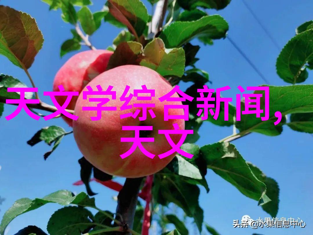 深度解析复星医药股票投资价值与市场动态