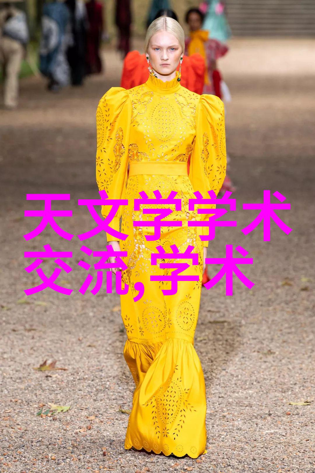 一品二品三品中文字幕探索古典中国风格的视觉艺术