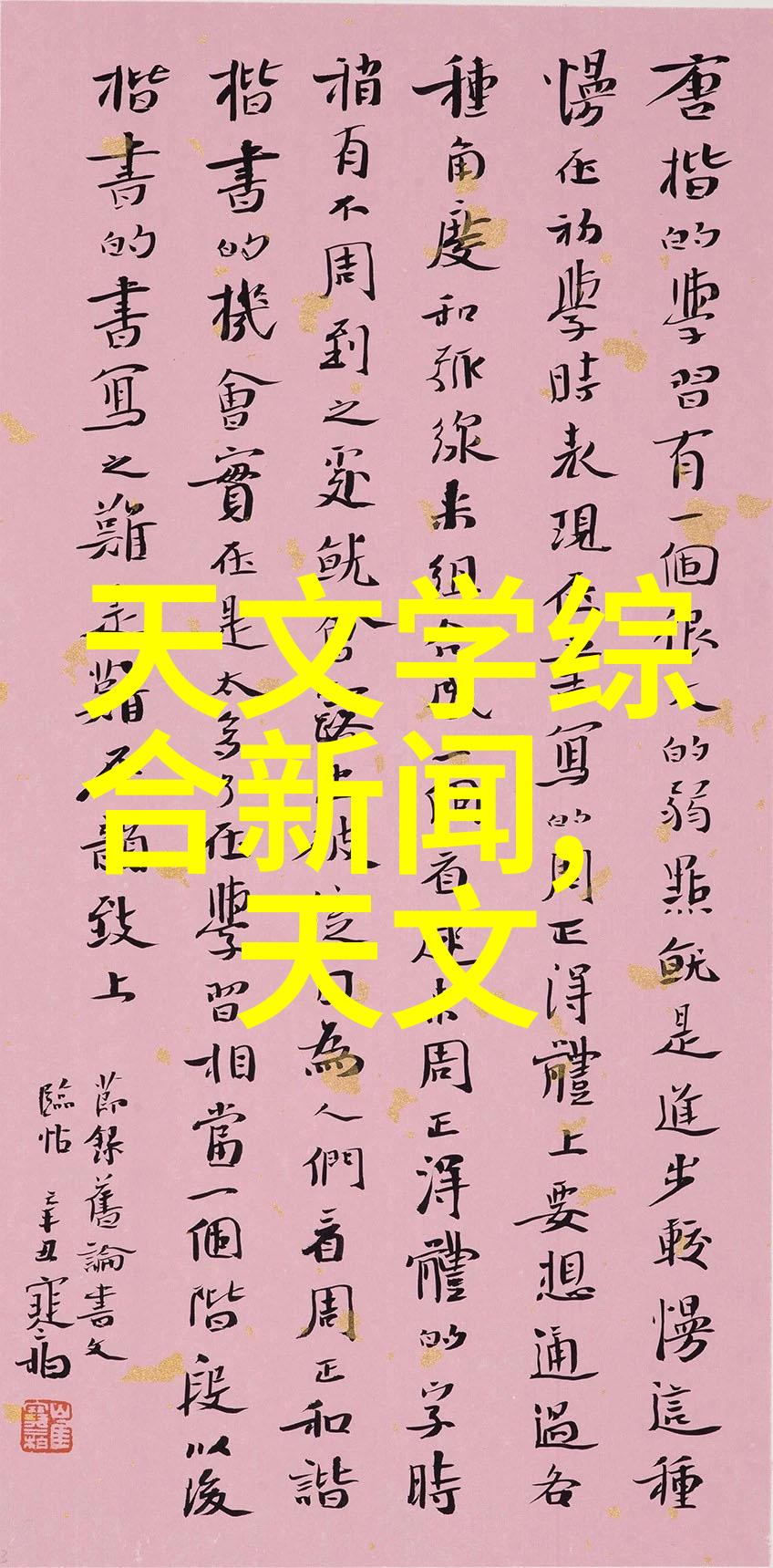白咲舞的种子