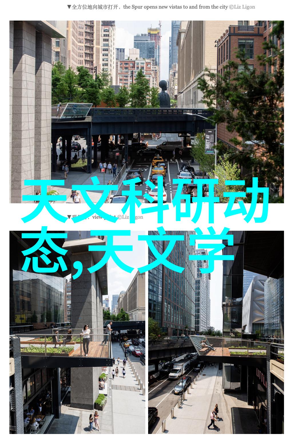 惑国毒妃我和那位让天下男人都头疼的美人之间的故事