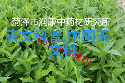 客厅装修效果图片大全电视墙的艺术画布织就生活的美妙旋律