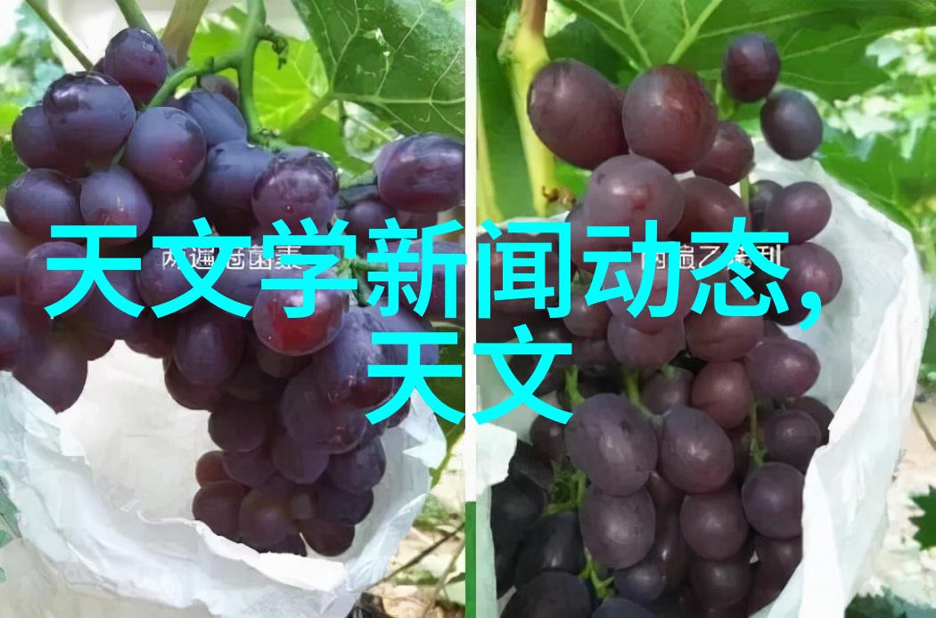 消毒灭菌对环境和人体健康有何影响