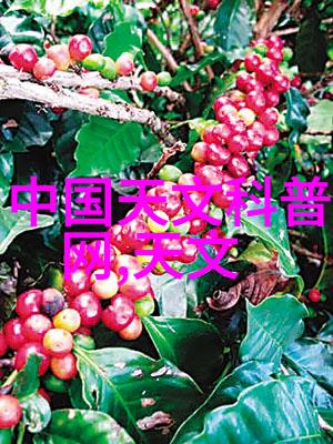 丝网孔隙率及其在现代材料科学中的应用研究