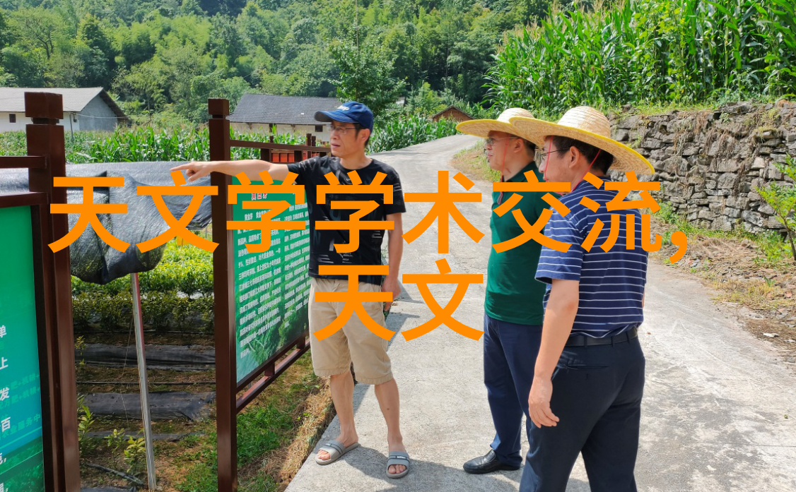 马尼托巴湖的极光科普探秘社会中的自然奇观