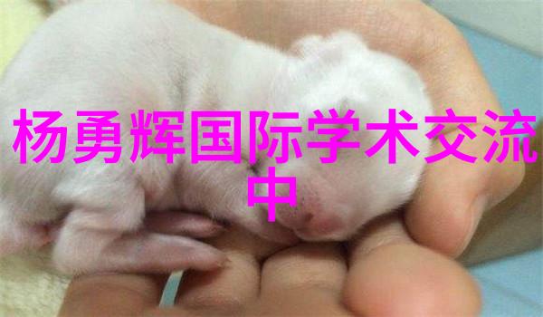 污水处理设备的未来绿色技术与创新发展