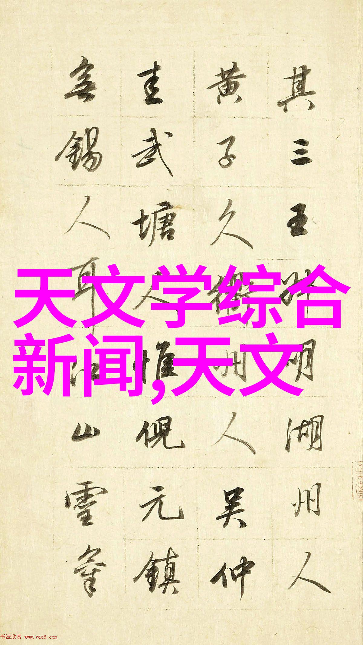 重生一黑道女王我是她江湖的独孤狼