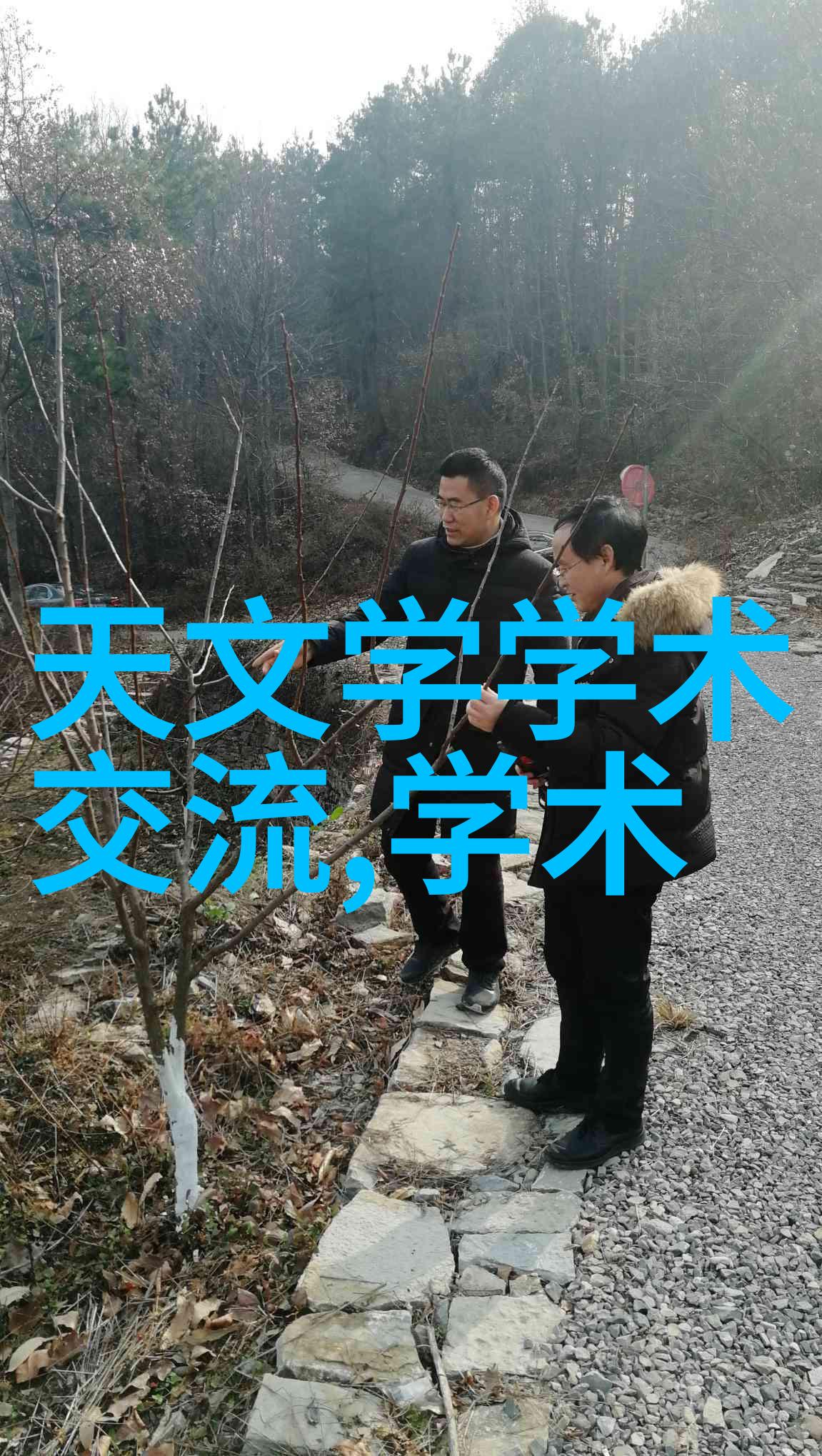 个人申请专利入口我是专利大师从零到英雄的创业故事