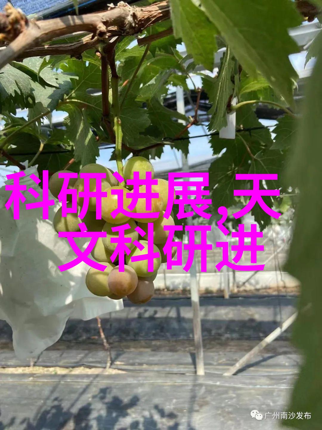 什么是水电工程中的三重防护原则