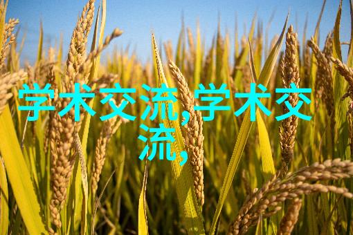 井水过滤装置我家的清澈泉水从泥土到碧波的奇迹变化