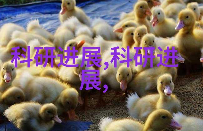 蒸汽魔方揭秘多效蒸发器的神奇运作