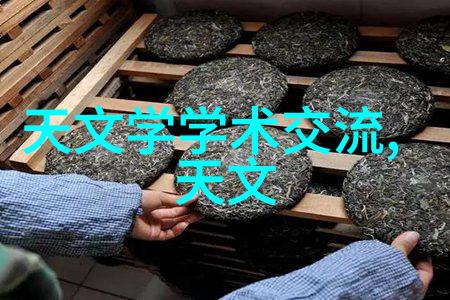 规整填料密度对于提升绿色屋顶系统的耐久性有什么作用