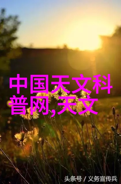 机械大侠与粮油的奇幻之旅