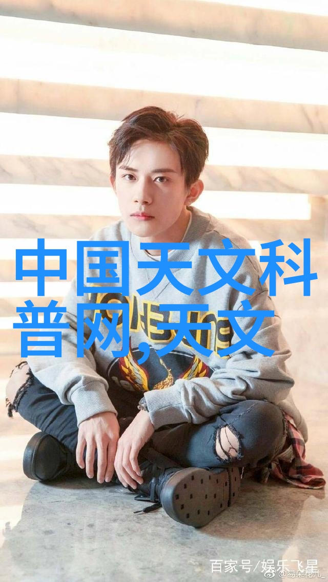 家居美学探索大客厅设计效果图的无限魅力