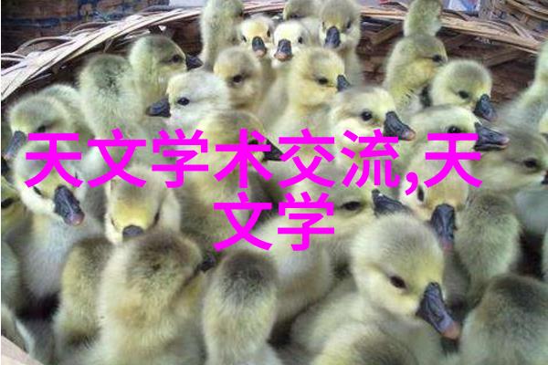 机械巨兽粉碎机的无声霸道
