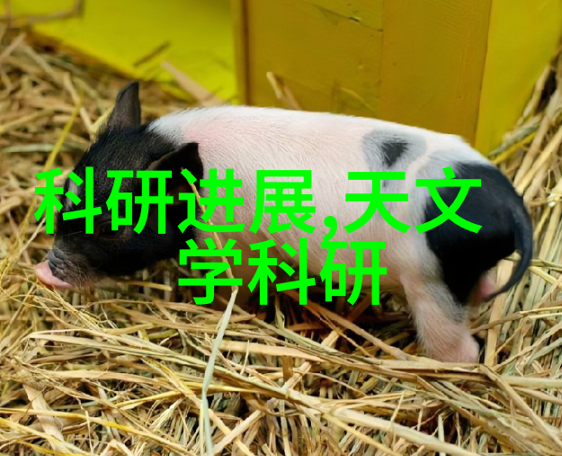 闪耀的表面隐秘的工厂不锈钢产品厂家背后的故事