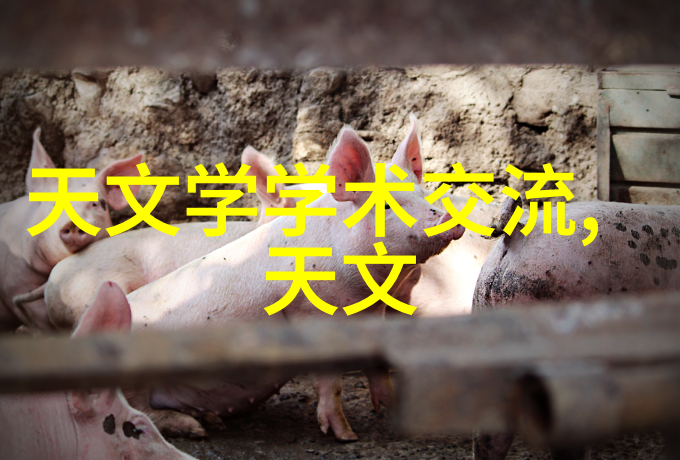 绿色环保材料在新一代专业医疗器械中的应用前景如何