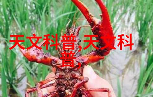 从设计到回收再利用green supply chain在这领域扮演了怎样的角色