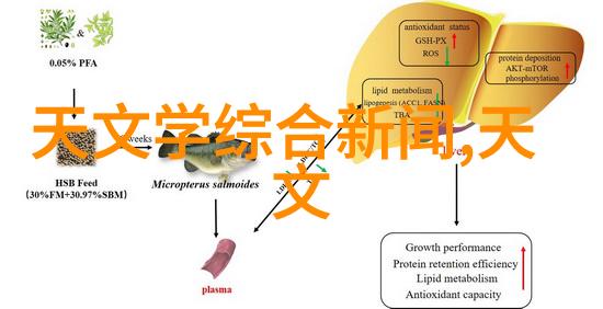 完美浴室从规划到落地的七个关键步骤
