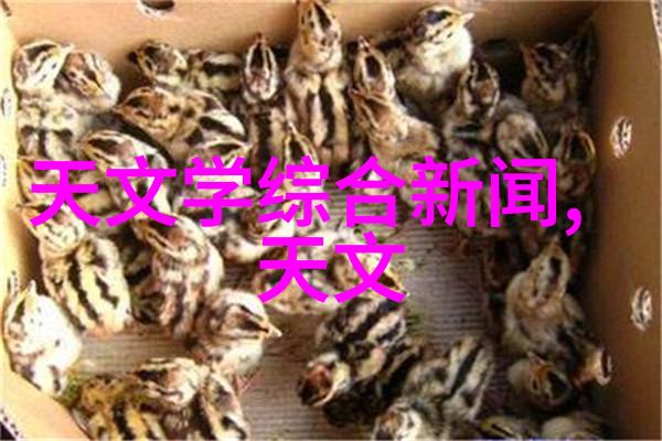 水下奇迹鲍尔环填料的安装秘诀