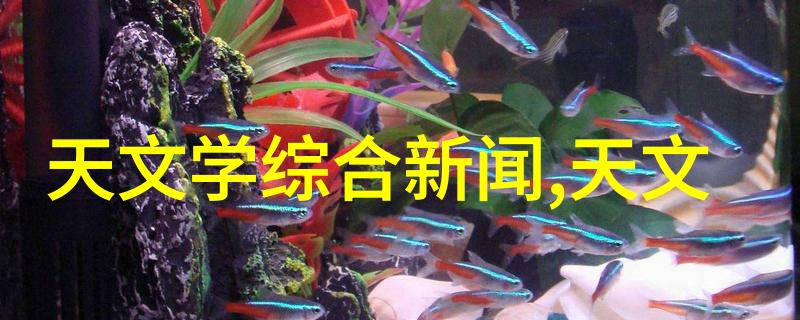 液体纯净术油水分离器的安装艺术