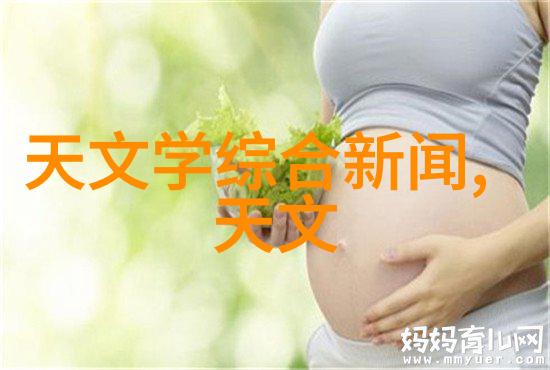 简单的申请书个人求职申请表