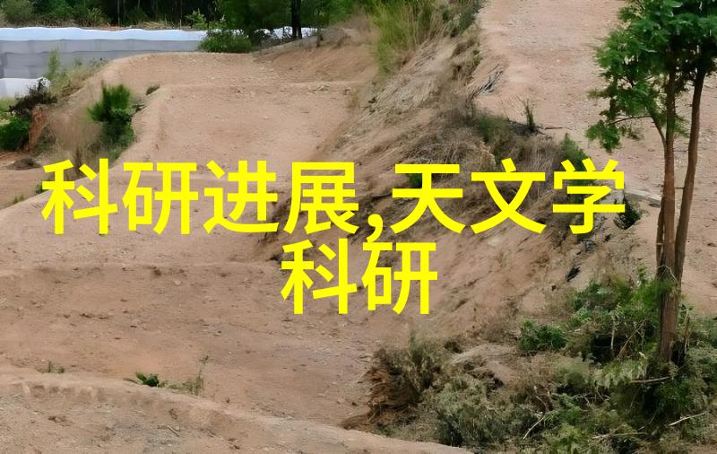垃圾处理新技术如何有效利用塑料分离器提升回收效率